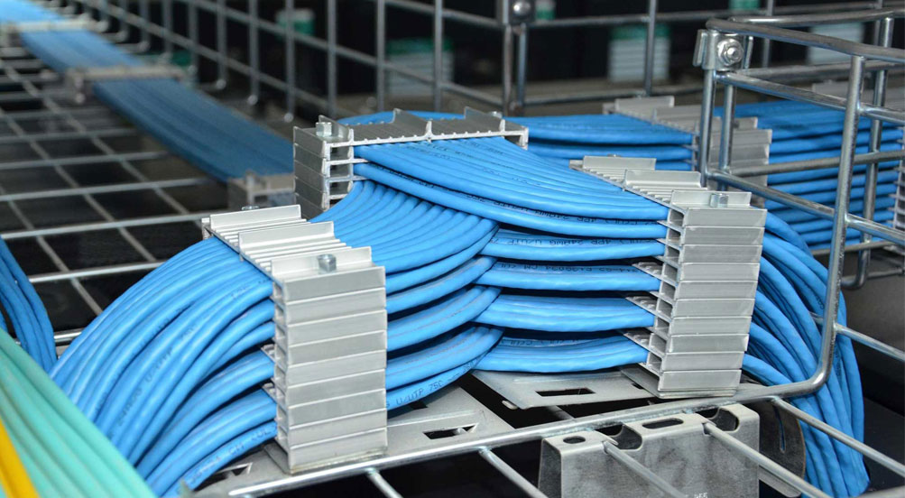 規(guī)范求實 規(guī)范求實